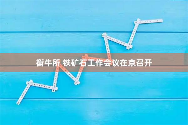 衡牛所 铁矿石工作会议在京召开
