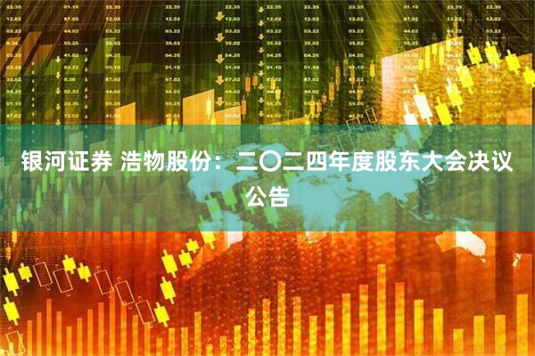 银河证券 浩物股份：二〇二四年度股东大会决议公告