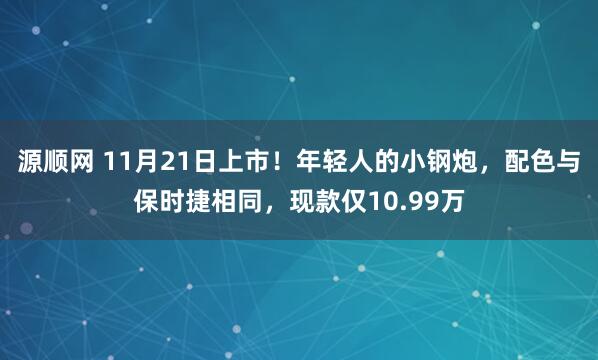 源顺网 11月21日上市！年轻人的小钢炮，配色与保时捷相同，现款仅10.99万