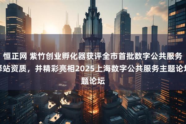 恒正网 紫竹创业孵化器获评全市首批数字公共服务驿站资质，并精彩亮相2025上海数字公共服务主题论坛