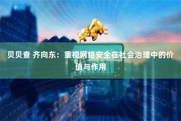 贝贝查 齐向东：重视网络安全在社会治理中的价值与作用